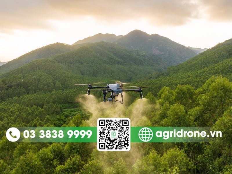 Có nên đầu tư máy bay xịt thuốc DJI T25P? Phân tích chi tiết