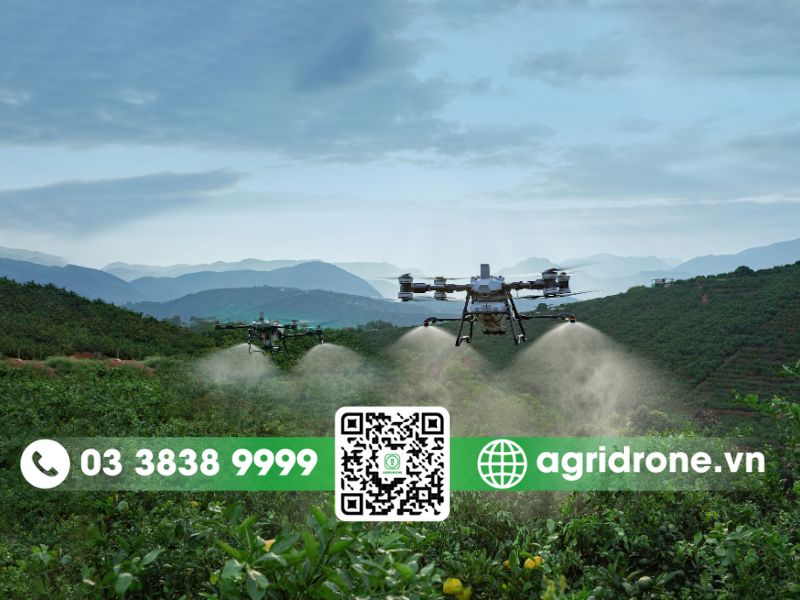 Giá bán và chi phí đầu tư máy bay phun thuốc DJI T50 và DJI T70P