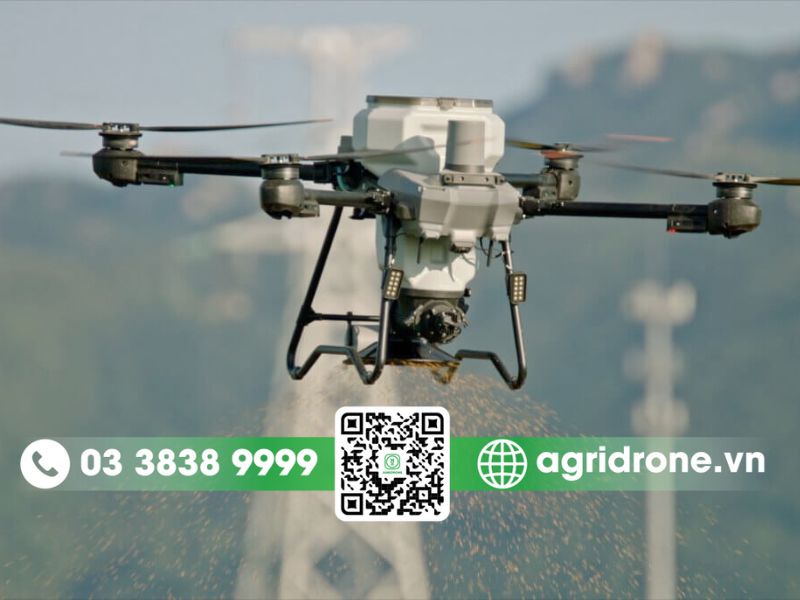 Hệ thống rải với lưu lượng lớn gấp nhiều lần