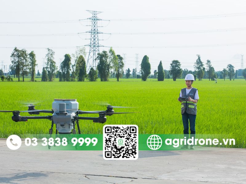 Hướng dẫn sử dụng máy bay phun thuốc DJI T25P an toàn