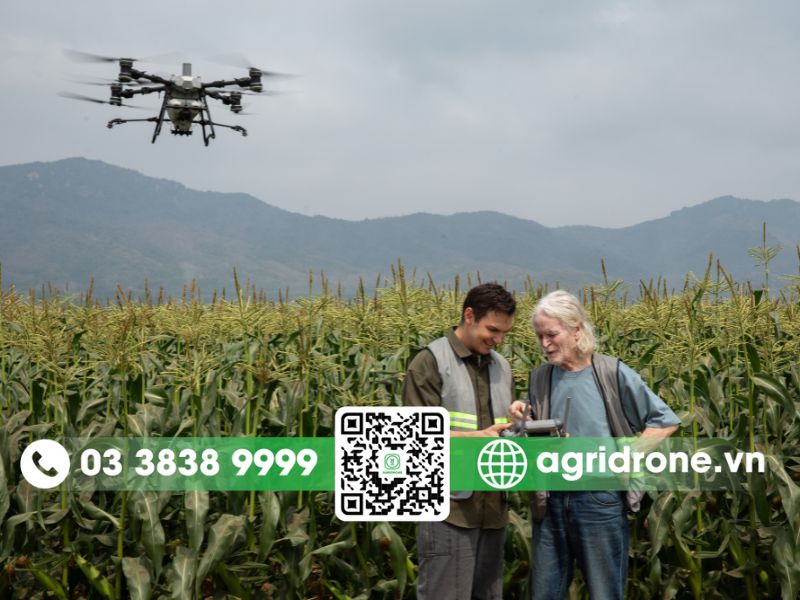 Hướng dẫn sử dụng máy bay phun thuốc DJI T70P đầy đủ nhất
