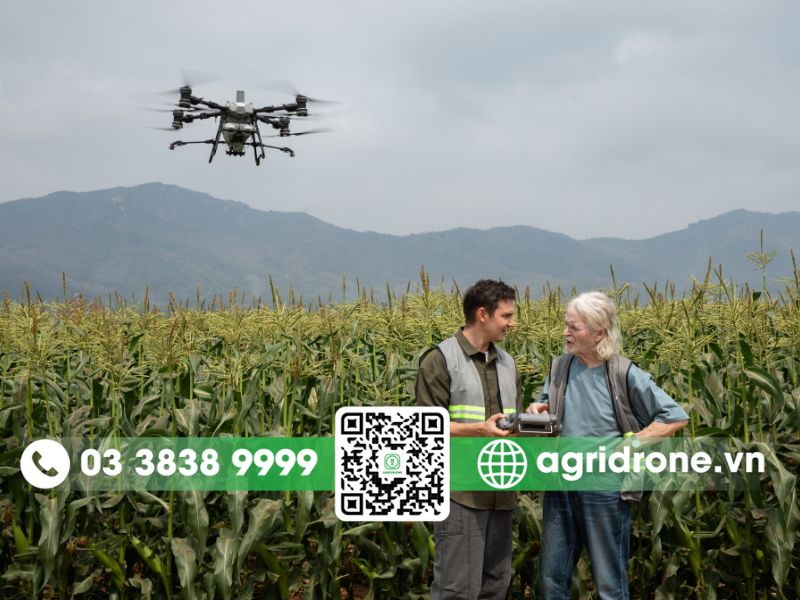 Hướng dẫn vận hành máy bay DJI T70P an toàn và hiệu quả