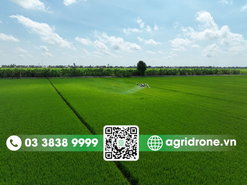 Khi nào nên mua drone nông nghiệp DJI Agras T70P?