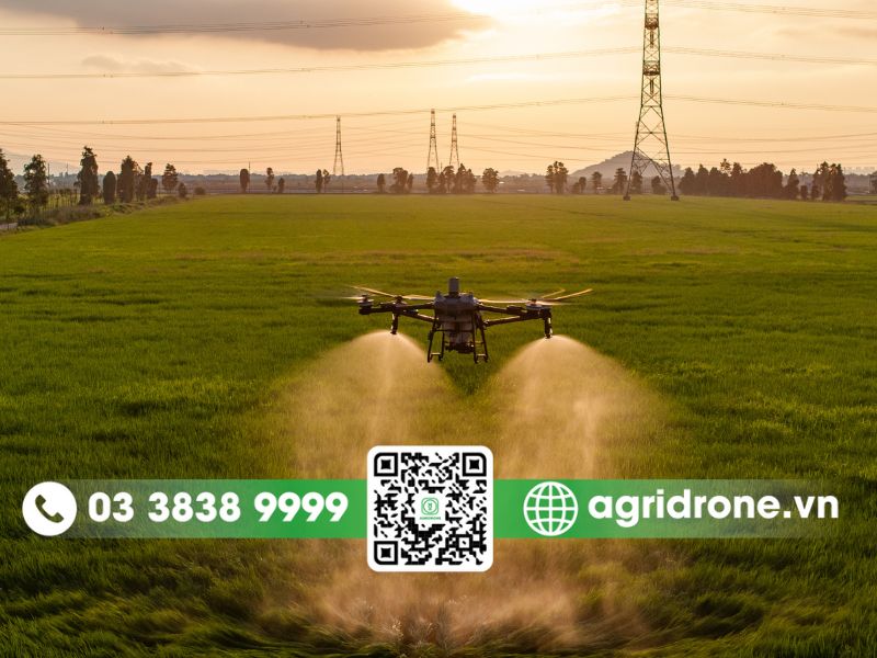Lợi ích khi đầu tư DJI T70P cho bà con nông dân