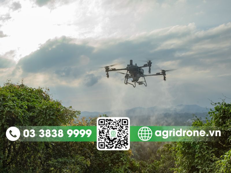Lợi ích khi đầu tư DJI T70P mang lại cho người nông dân