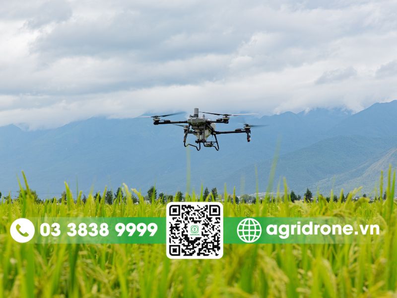 Mua máy bay phun thuốc DJI Agras T70P ở đâu chính hãng, uy tín nhất?