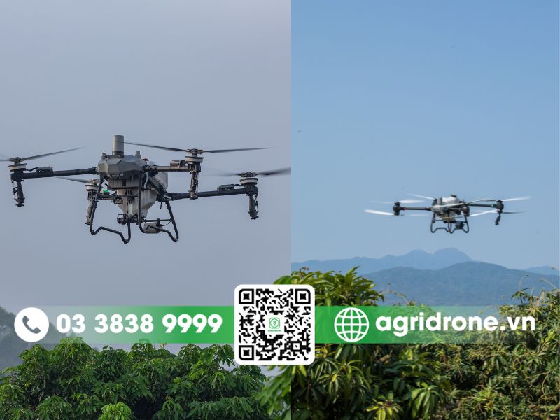 Nên lựa chọn DJI Agras T70P hay DJI Agras T50?