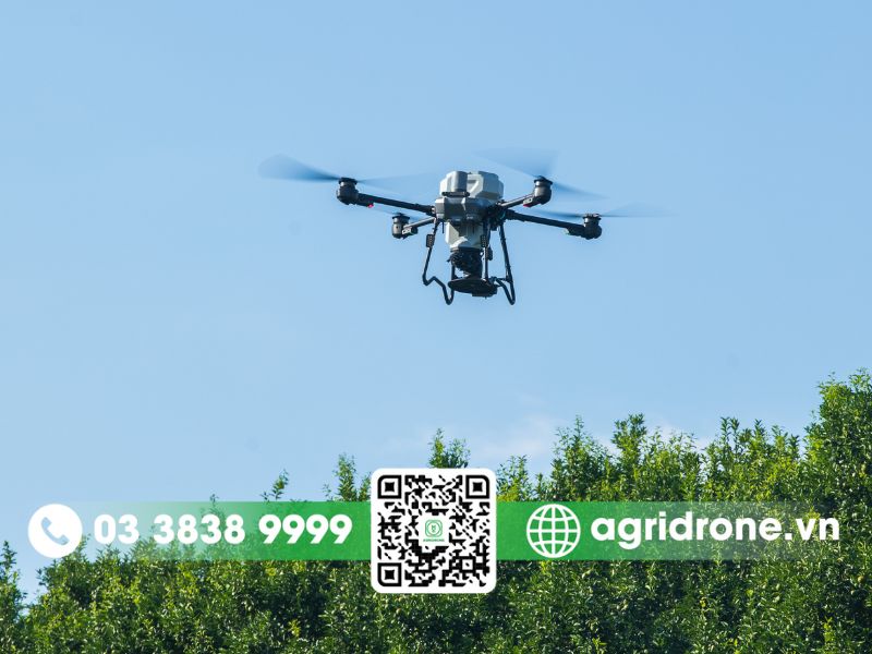 Nên lựa chọn đầu tư máy bay phun thuốc DJI T25P hay DJI T25?