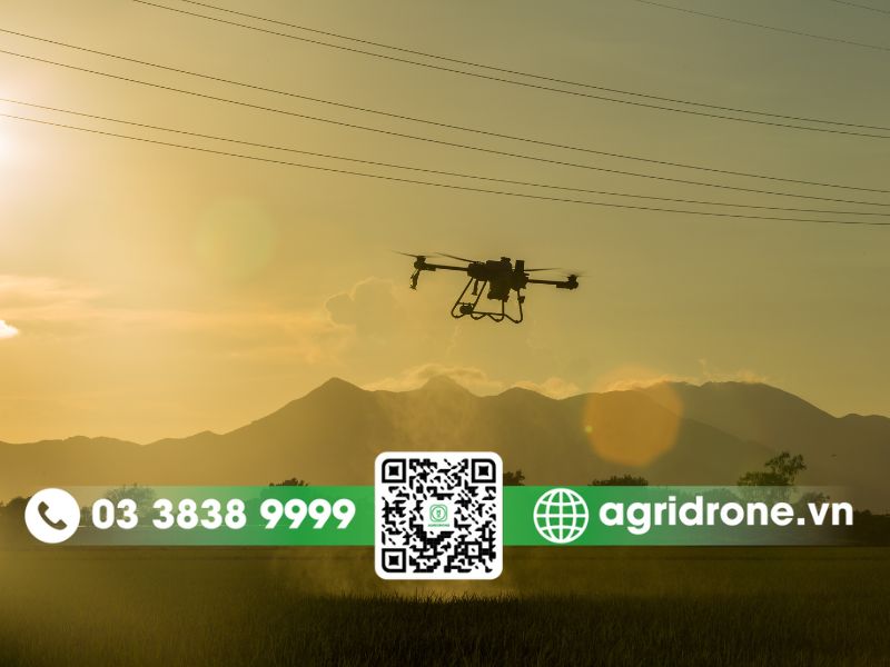 Nên lựa chọn đầu tư máy bay phun thuốc DJI T25P hay DJI T25?