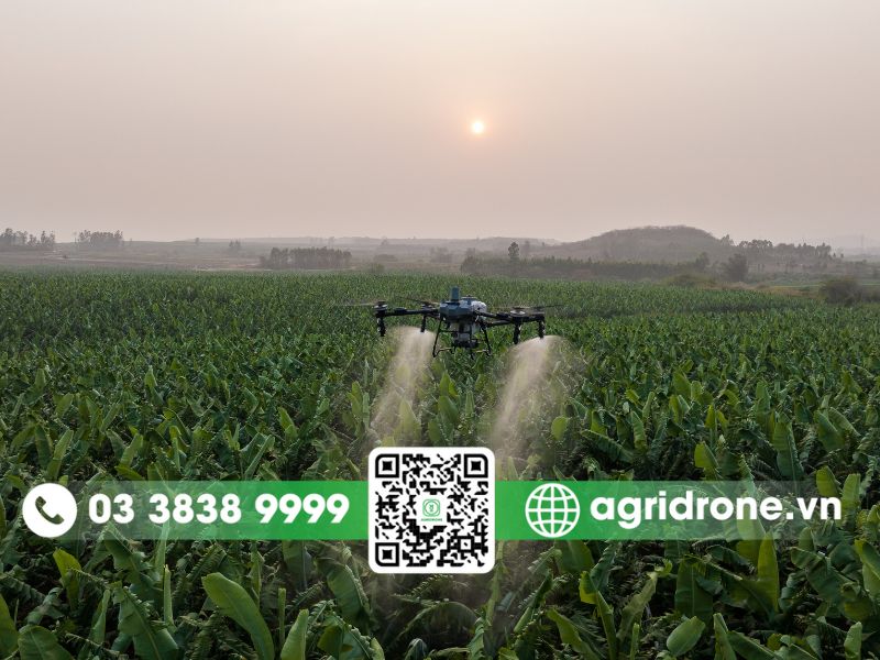 Những điều cần xem xét kỹ lưỡng trước khi quyết định đầu tư DJI T70P