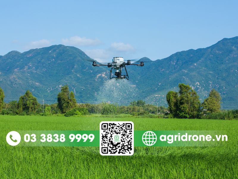 Review hệ thống rải của T25P