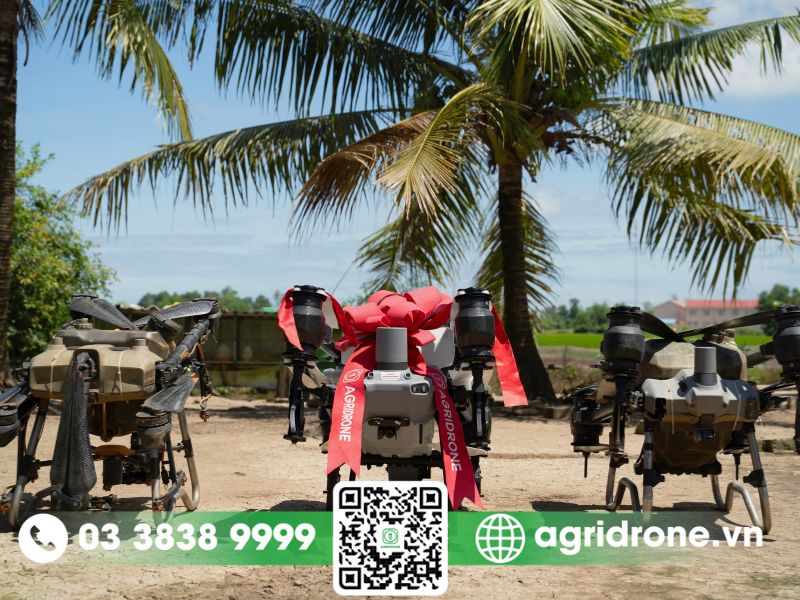 Sức mạnh từ sự đầu tư bài bản