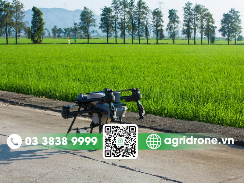 Tại sao DJI T25P là lựa chọn tối ưu cho nông nghiệp linh hoạt?
