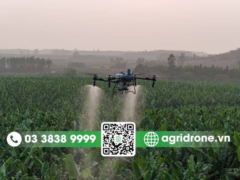 Tại sao DJI T70P được gọi là "Chuyên Gia Hiệu Suất"?