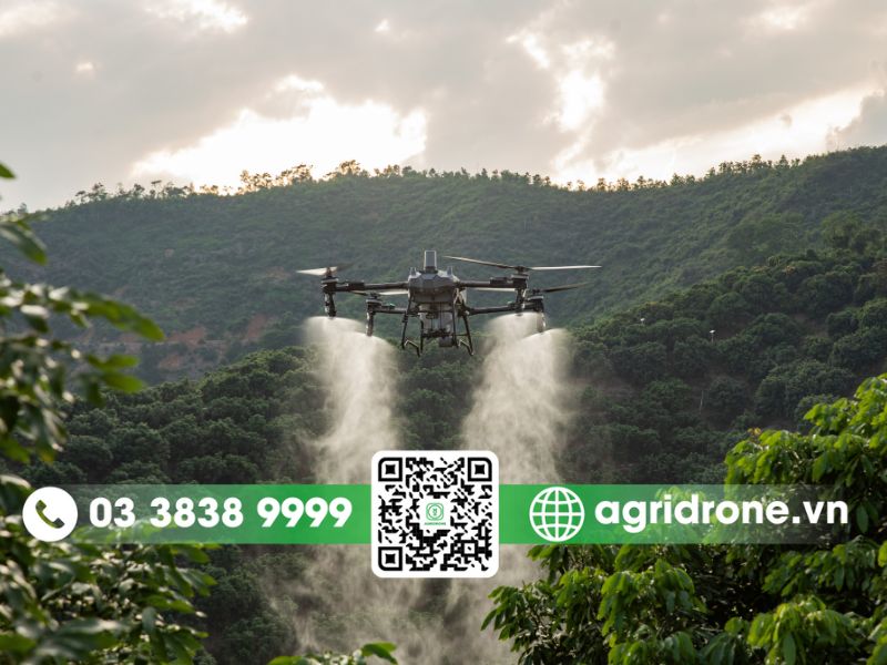 Top 4 ưu điểm của máy bay phun thuốc T70P không nên bỏ lỡ