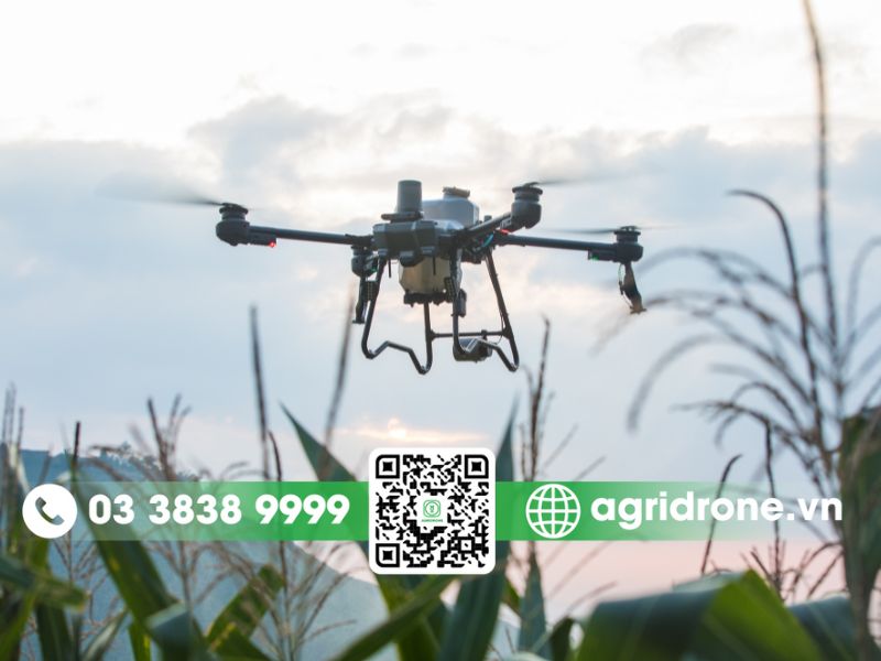 Top 5 ưu điểm của drone nông nghiệp DJI T25P trong canh tác