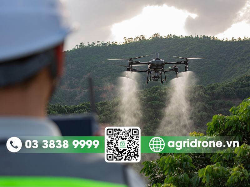 Ứng dụng của DJI T70P trong nông nghiệp hiện đại