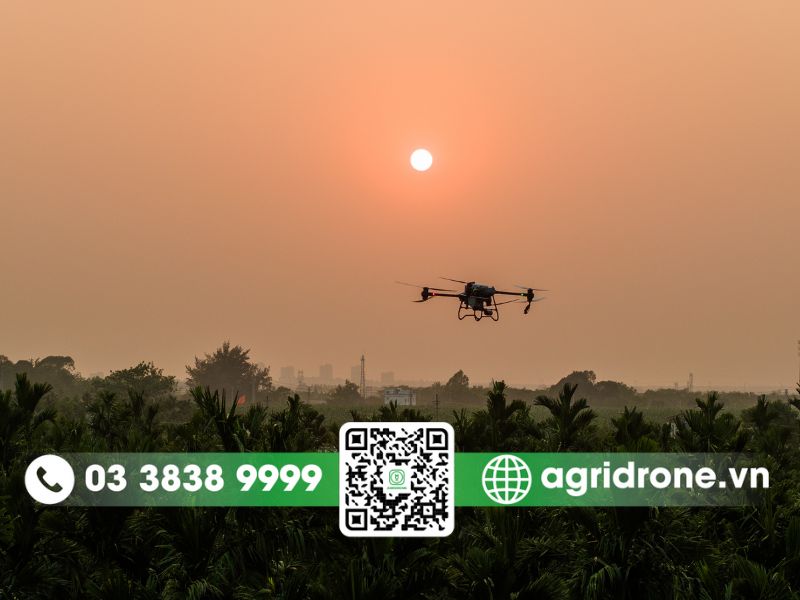 Các phương pháp phun thuốc trừ sâu cho bầu