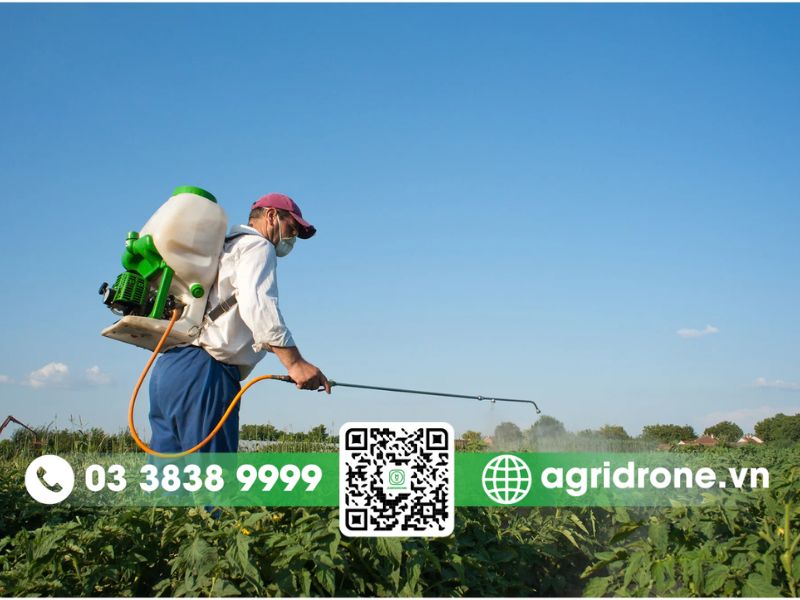 Hướng dẫn an toàn lao động khi phun thuốc trừ sâu cho sắn