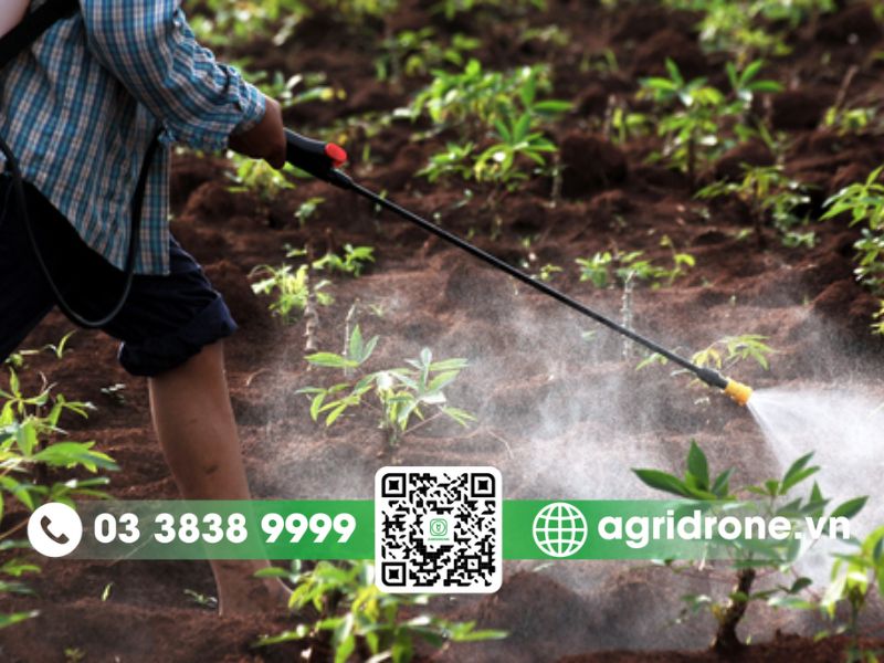 Tổng hợp phương pháp phun thuốc trừ sâu cho sắn an toàn và hiệu quả