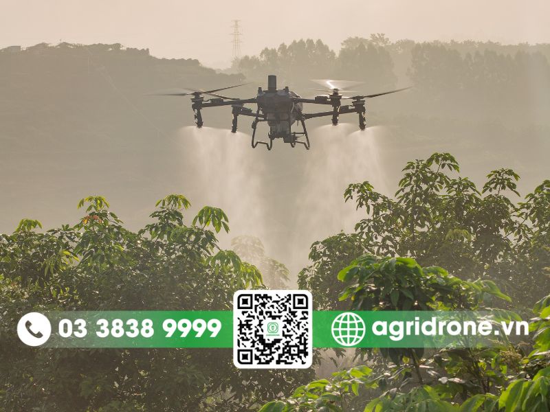 Lợi ích khi sử dụng máy bay nông nghiệp cho vườn bơ
