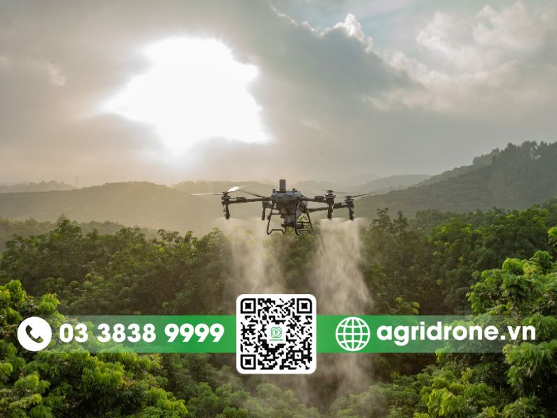 Top 3 máy bay phun thuốc cây bơ: Nhanh, đều và an toàn 